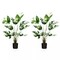 2-Pack Artificial Monstera Deliciosa Tree 4 FT Faux Tropical Decorative Plant